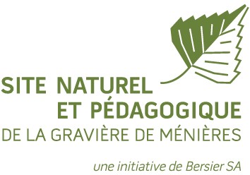 2020_LOGO SITE PEDAGOGIQUE NEW
